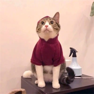 Hendra Wijaya avatar